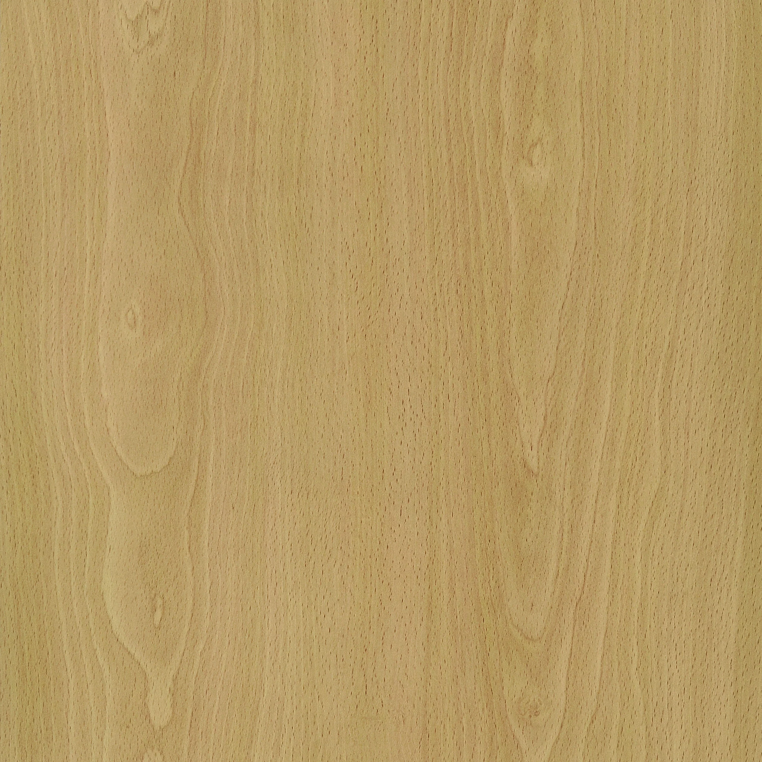 Edwards Four-Panel Room Divider - Image 6