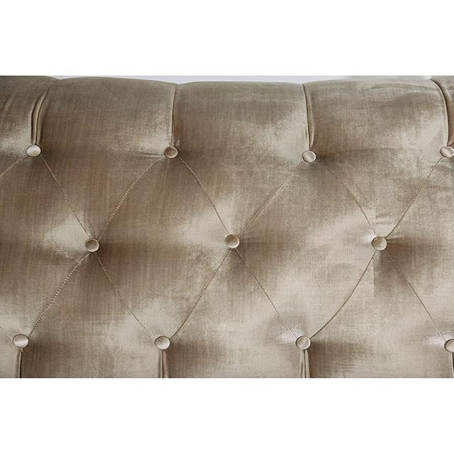 ELICIA Loveseat - Image 10