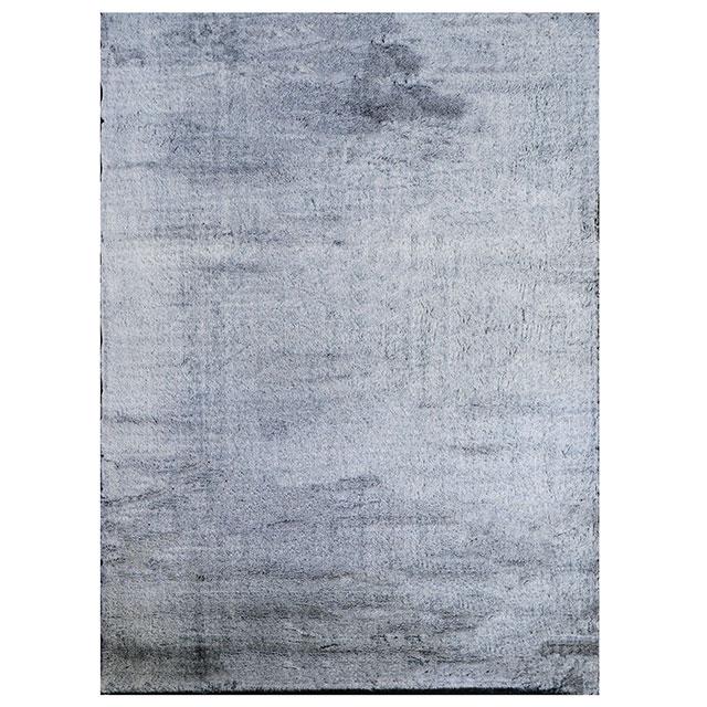 Famalica Area Rug - Image 2