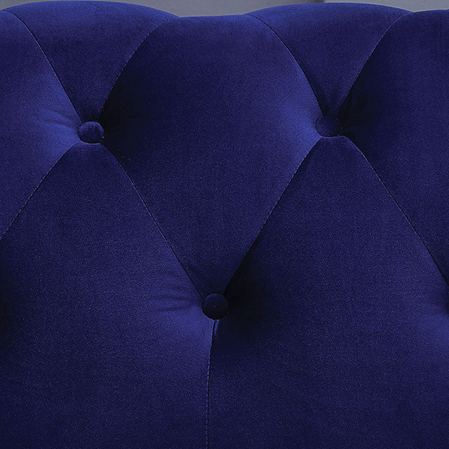 Giacomo Chair Black & Blue - Image 3