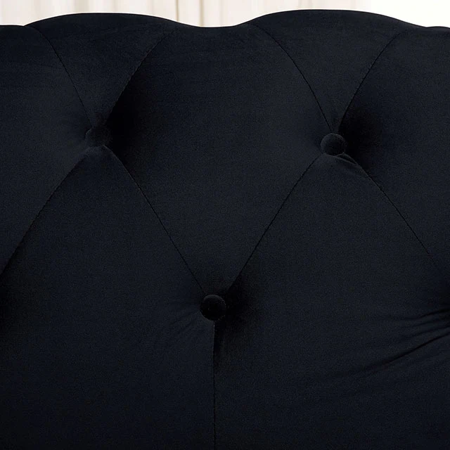 Giacomo Chair Black & Blue - Image 6