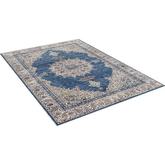 Payas Blue/Multi 5' X 7' Area Rug - Image 3